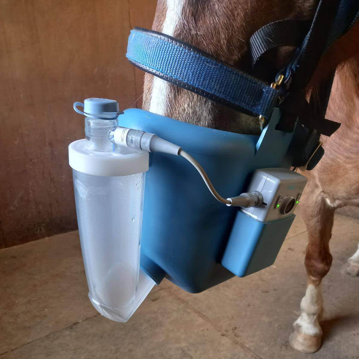 equine nebuliser